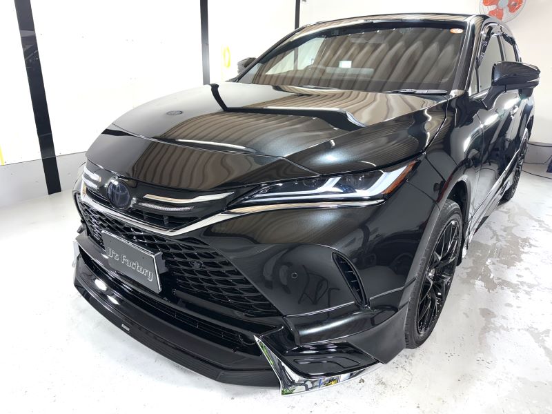 ヘッドライトプロテクション
